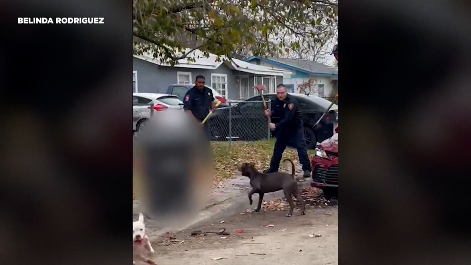 Video captures moment first responders confronted dogs after fatal attack